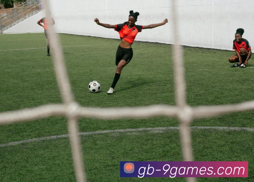 九游体育官网平台生态图